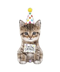 Кошеня у ковпаку