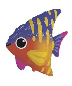 Рибка тропічна омбре