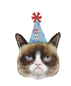 Голова кота в ковпаку