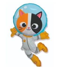 Кіт космонавт