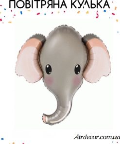 Голова слона сіра